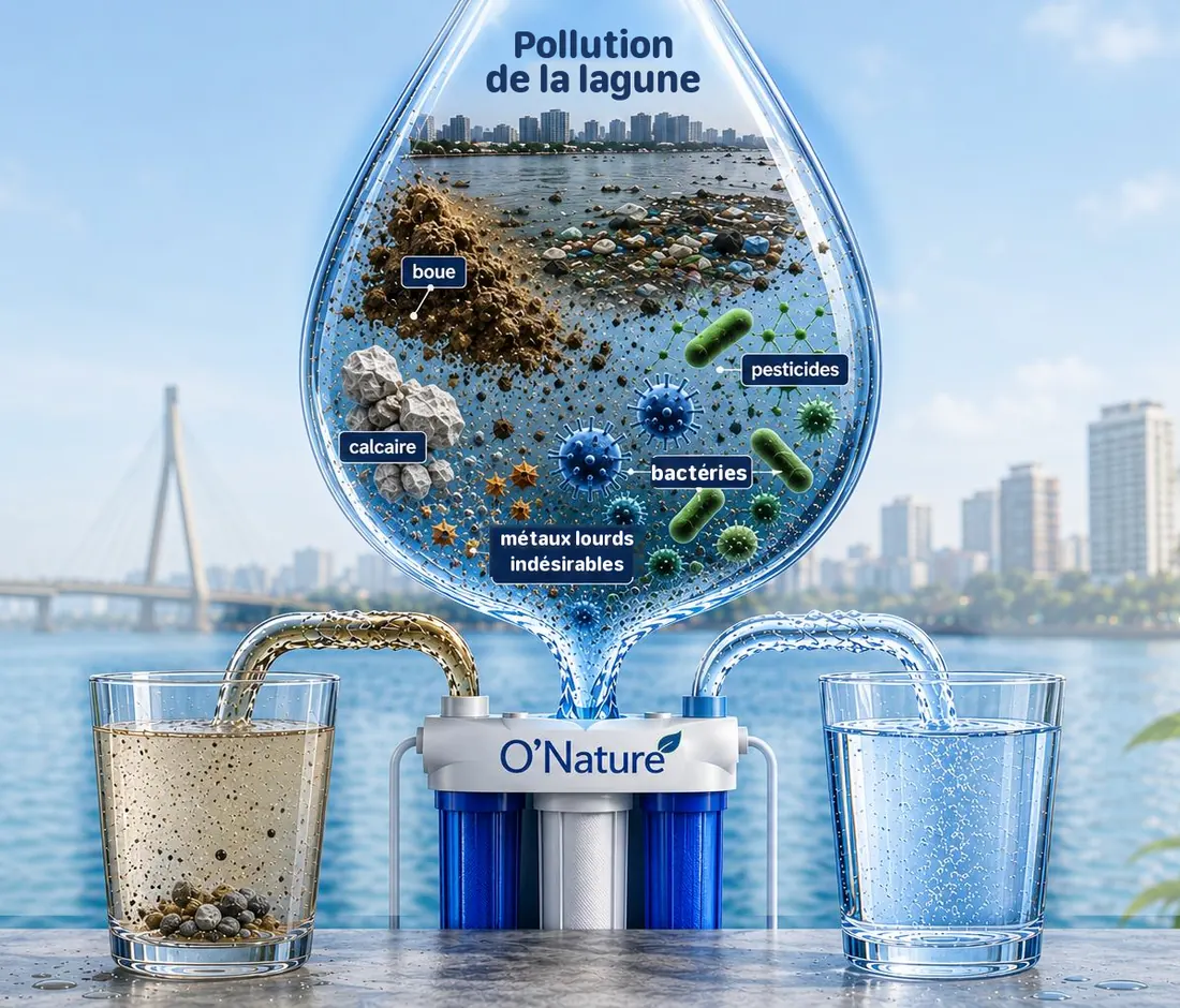 Ce que l'eau du réseau peut contenir avant filtration : verre d'eau trouble à gauche, filtre O'Nature au centre, verre d'eau pure à droite